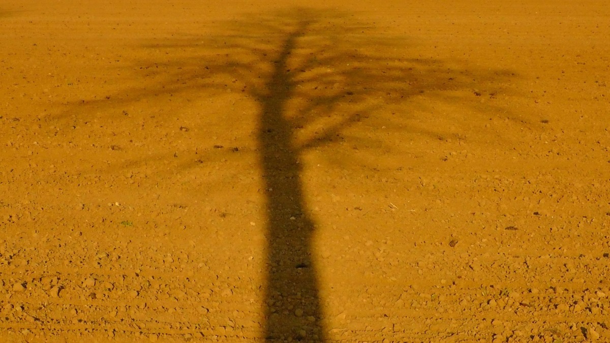 Neue Wege zum Umgang mit Schatten-IT – Teil 4: Überführung der IT aus dem Schatten,  Theorie und Praxis